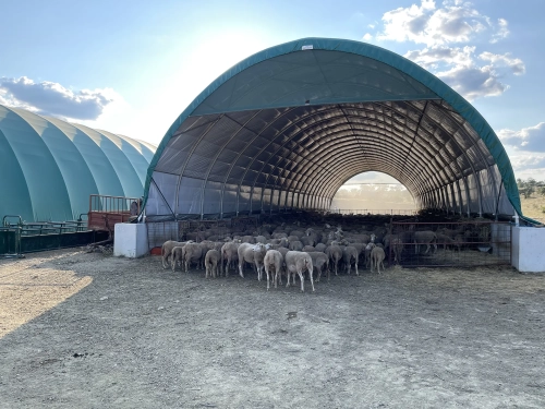 WVA-abrigos-trabalhos-07