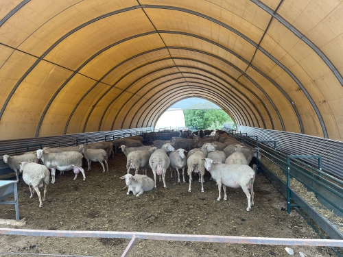 WVA-abrigos-trabalhos-12