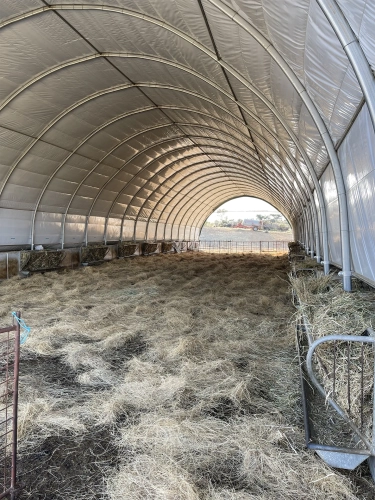 WVA-abrigos-trabalhos-20